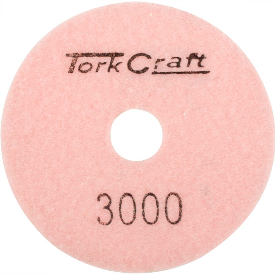 100mm Diamond Polishing Pad 3000 Grit Dry Use